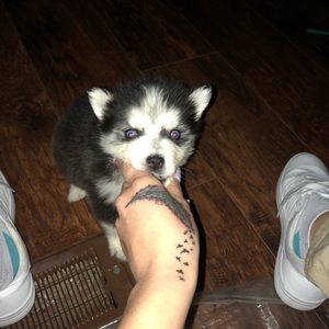 Meet your Posher, Olivia